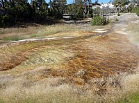 Yellowstone Mammoth Hotsprings (51).JPG